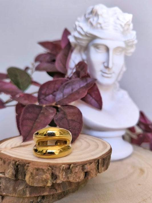 Anél Duplo Dourado em Aço Inoxidável